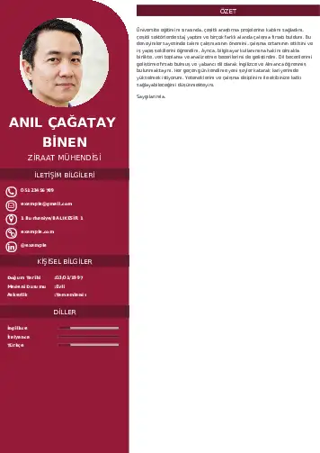Ziraat Mühendisi Cv Örnekleri cv indir